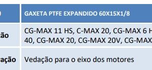 600189 GAXETA