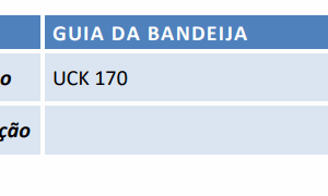 605748 Guia da Bandeja